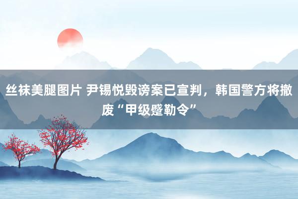 丝袜美腿图片 尹锡悦毁谤案已宣判，韩国警方将撤废“甲级蹙勒令”