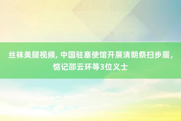 丝袜美腿视频， 中国驻塞使馆开展清朗祭扫步履，惦记邵云环等3位义士