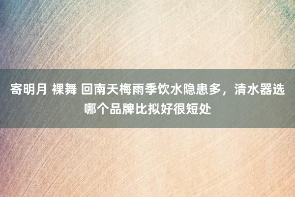 寄明月 裸舞 回南天梅雨季饮水隐患多，清水器选哪个品牌比拟好很短处