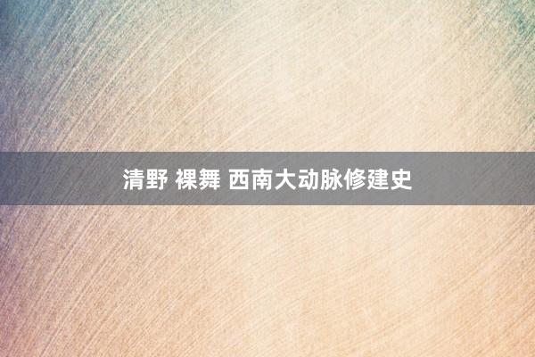 清野 裸舞 西南大动脉修建史