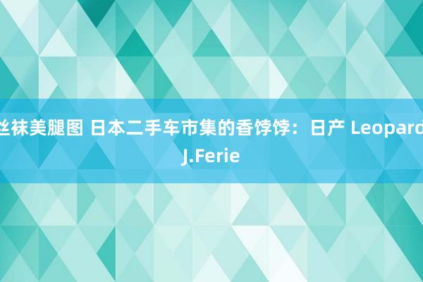 丝袜美腿图 日本二手车市集的香饽饽：日产 Leopard J.Ferie