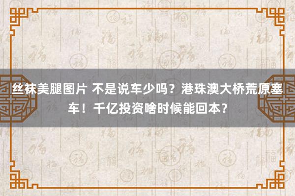 丝袜美腿图片 不是说车少吗？港珠澳大桥荒原塞车！千亿投资啥时候能回本？