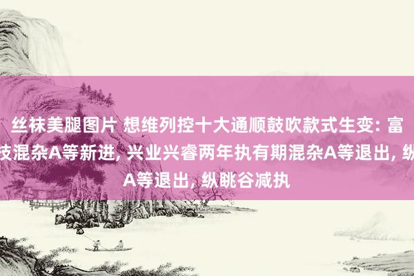 丝袜美腿图片 想维列控十大通顺鼓吹款式生变: 富国更正科技混杂A等新进， 兴业兴睿两年执有期混杂A等退出， 纵眺谷减执