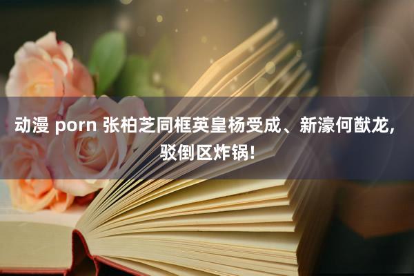 动漫 porn 张柏芝同框英皇杨受成、新濠何猷龙， 驳倒区炸锅!
