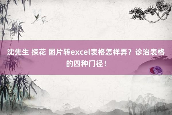 沈先生 探花 图片转excel表格怎样弄？诊治表格的四种门径！
