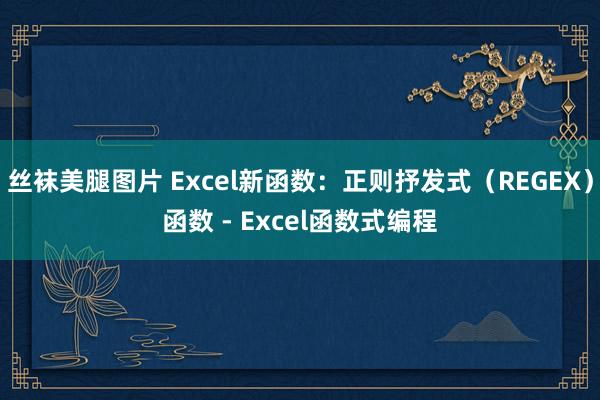 丝袜美腿图片 Excel新函数：正则抒发式（REGEX）函数 - Excel函数式编程