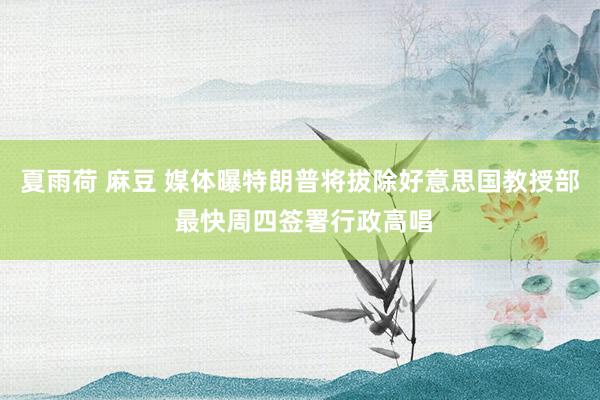 夏雨荷 麻豆 媒体曝特朗普将拔除好意思国教授部 最快周四签署行政高唱