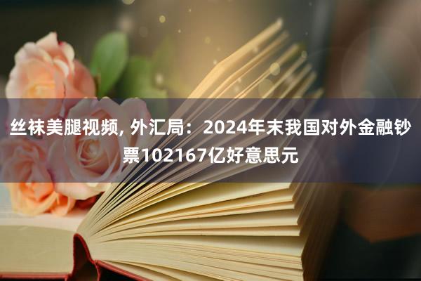 丝袜美腿视频， 外汇局：2024年末我国对外金融钞票102167亿好意思元